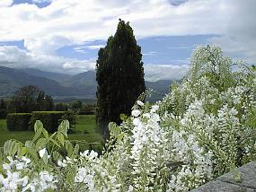 pic00016