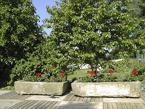 pic00024