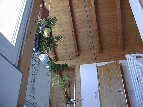 pic00029