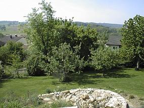 pic00032