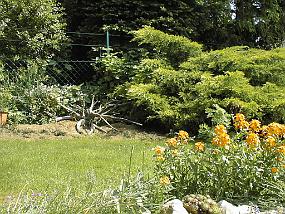 pic00035