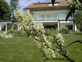 pic00009