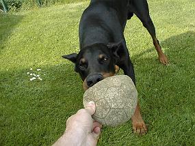 pic00005
