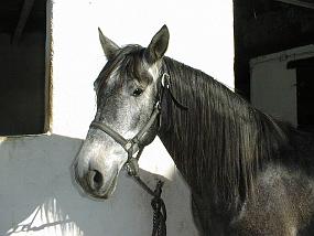 pic00001