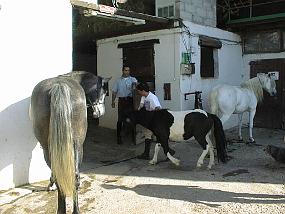 pic00002