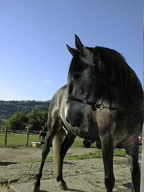 pic00004