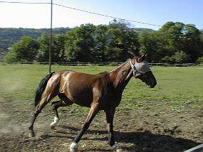 pic00007