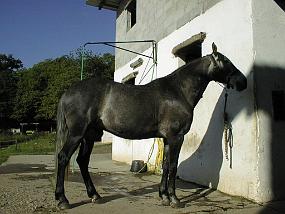 pic00012