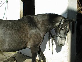 pic00014