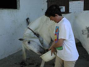 pic00017