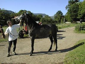 pic00021