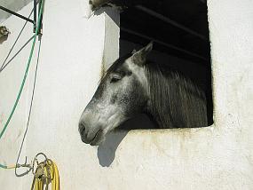 pic00025