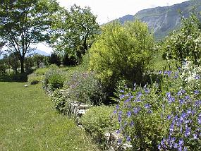 pic00009