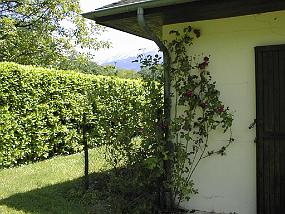 pic00010