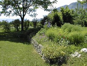 pic00011