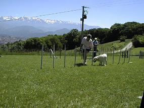 pic00005