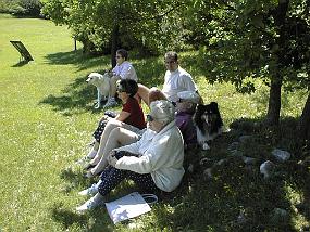 pic00009