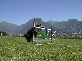 pic00015