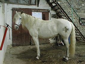 pic00012