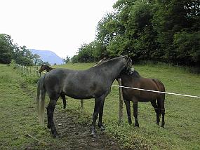 pic00027