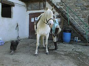pic00002