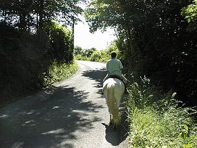 pic00005