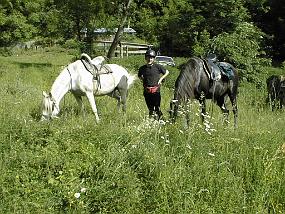 pic00038