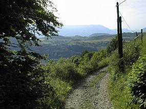pic00020