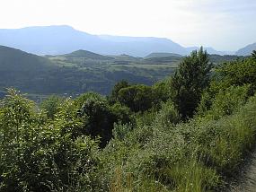 pic00021