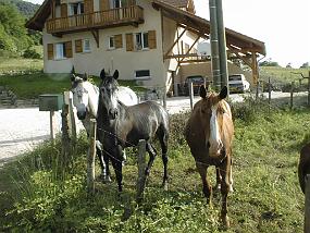 pic00028