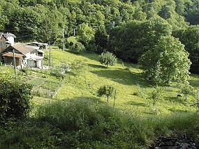 pic00037