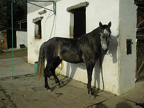 pic00044