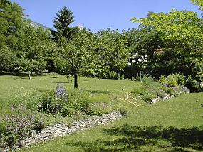 pic00031