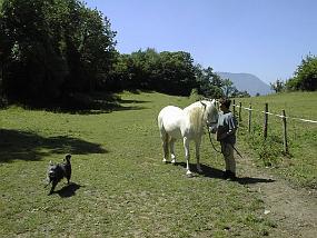 pic00017
