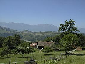 pic00021