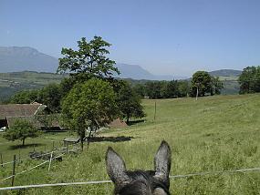 pic00023