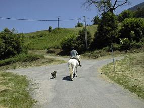 pic00025