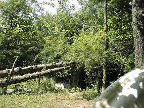pic00011