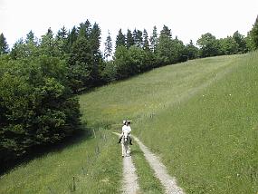 pic00016