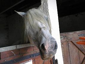pic00023