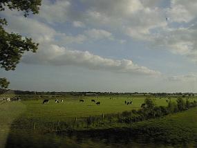 pic00050
