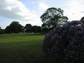 pic00057