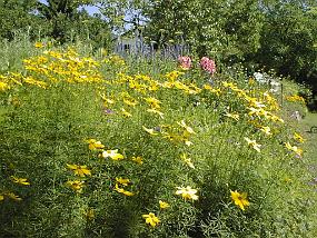 pic00010