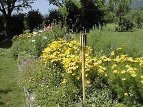 pic00012