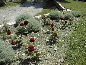 pic00016