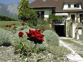pic00017