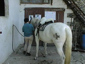 pic00001