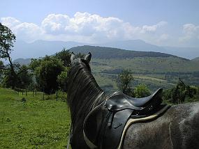 pic00002