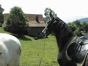 pic00005