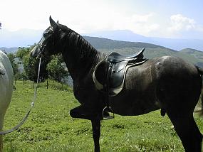 pic00006